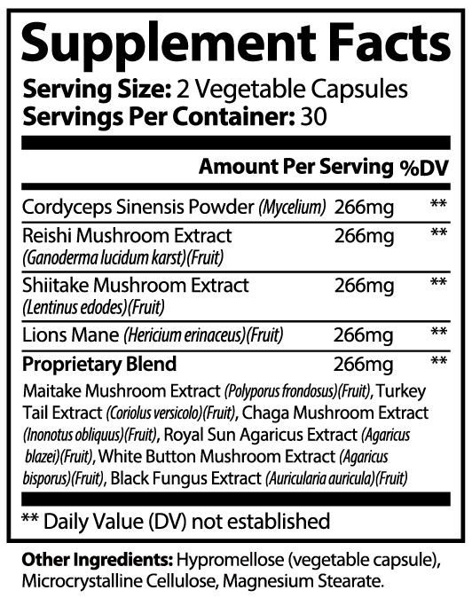 Brain Boost Bundle