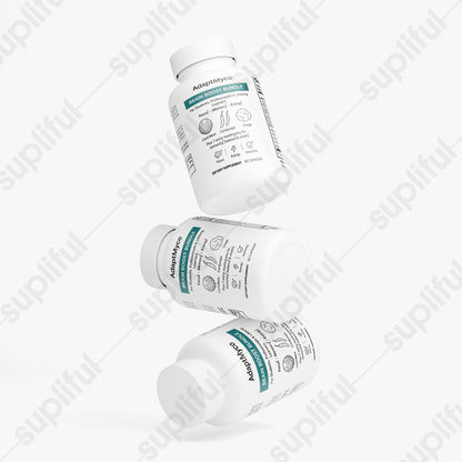 Brain Boost Bundle